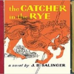 Catcher in the rye figurative language