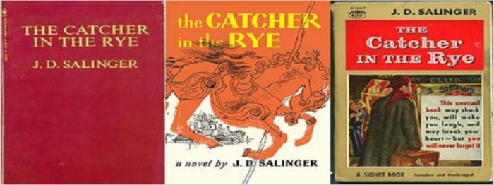 Catcher in the rye figurative language