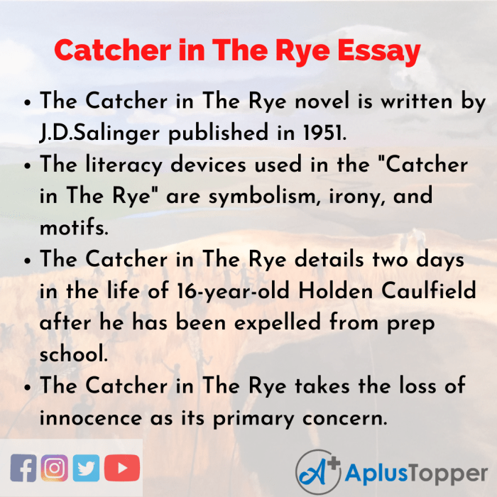 Catcher in the rye figurative language