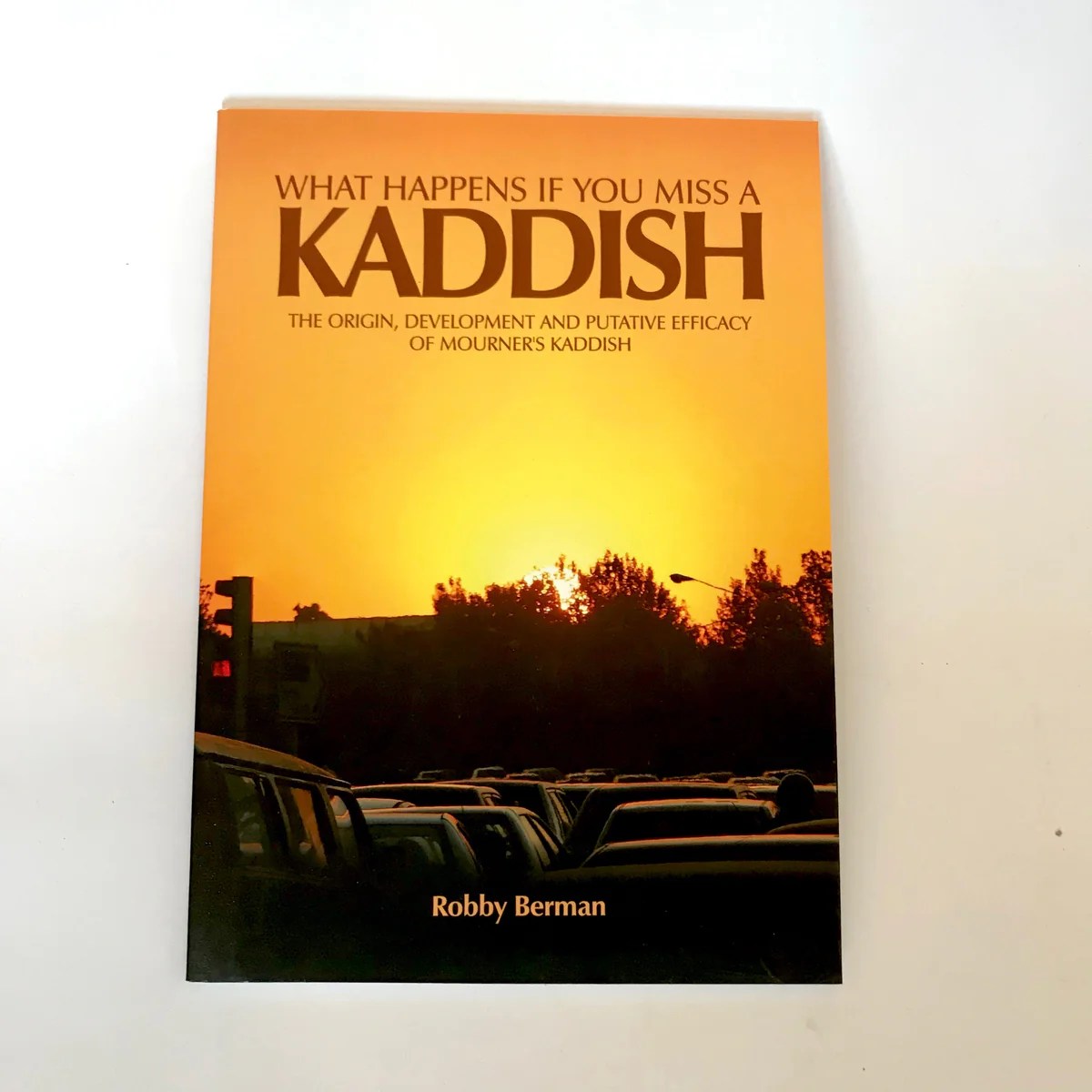 Kaddish audiobook novel