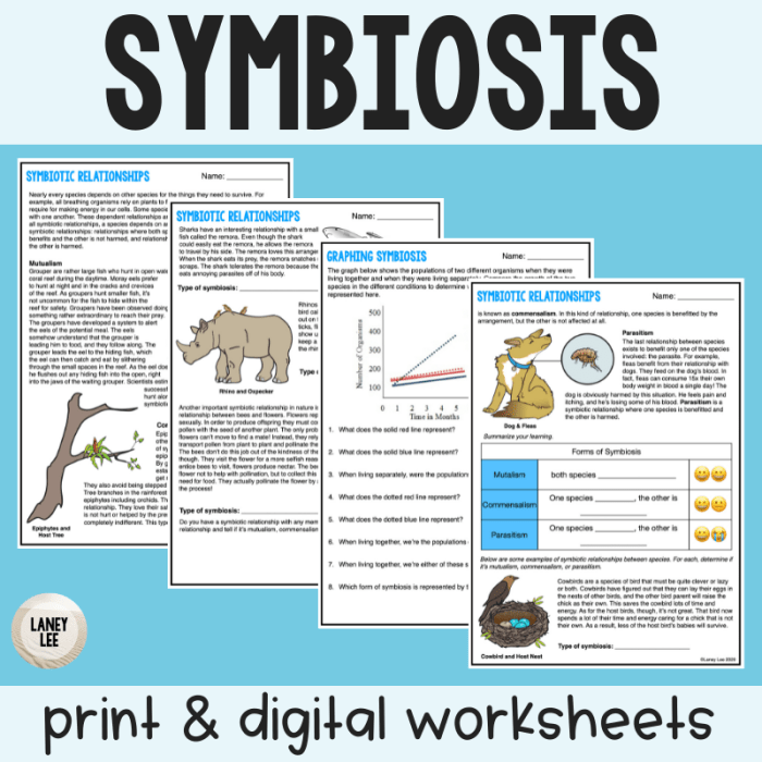 Symbiosis practice worksheet answer key