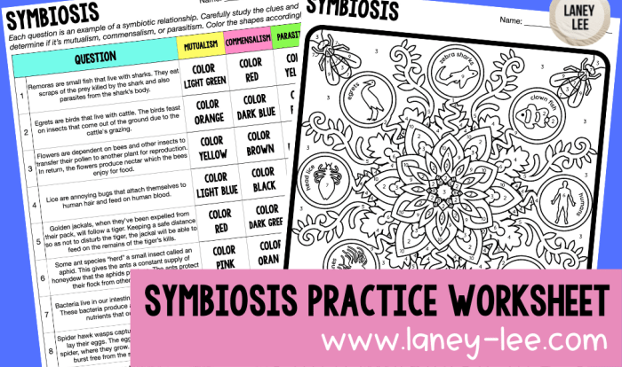 Symbiosis practice worksheet answer key