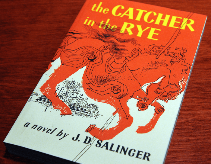 Catcher in the rye figurative language