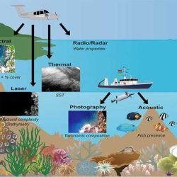 Gizmo coral reefs 1 answers