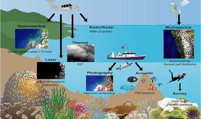 Gizmo coral reefs 1 answers