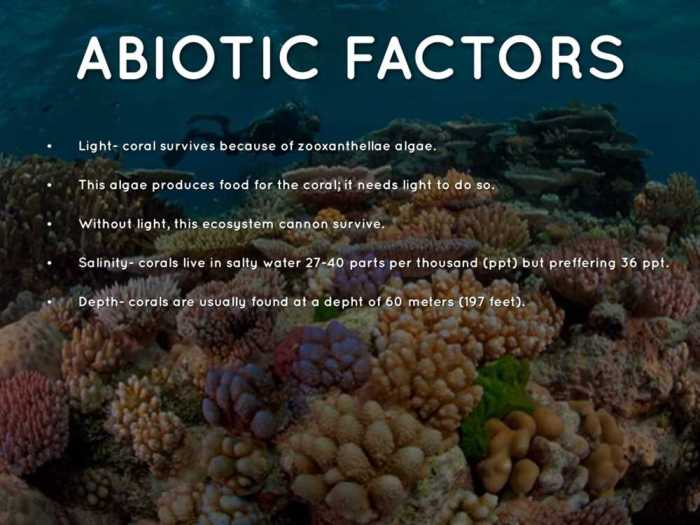 Gizmo coral reefs 1 answers