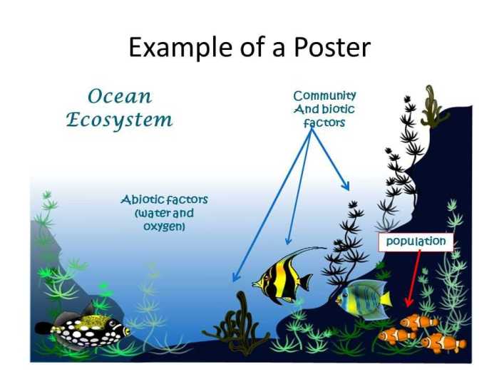 Gizmo coral reefs 1 answers