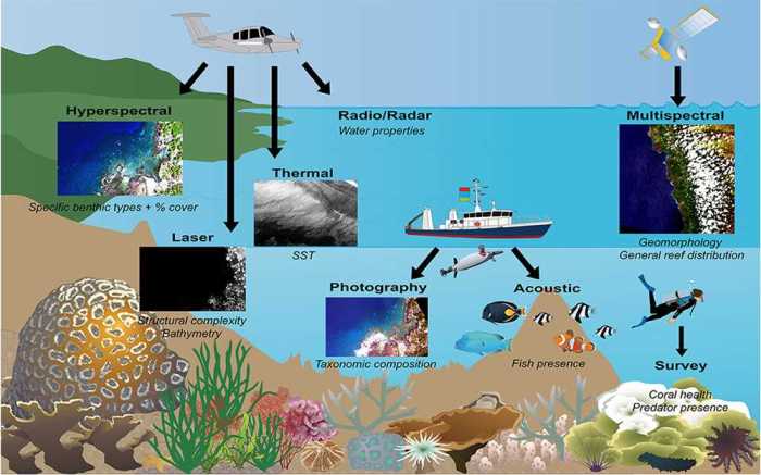 Gizmo coral reefs 1 answers