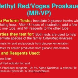 Methyl red and voges-proskauer tests