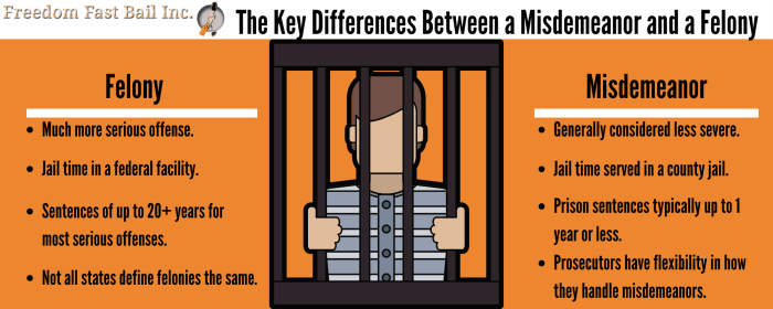 What is the difference between felony and misdemeanor larceny