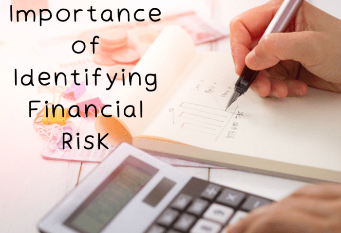 Identifying financial risk worksheet answers