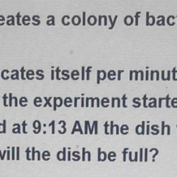 A scientist creates a colony of bacteria in a dish