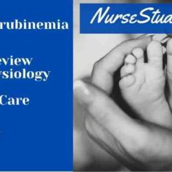 Nursing care plan for hyperbilirubinemia in newborn